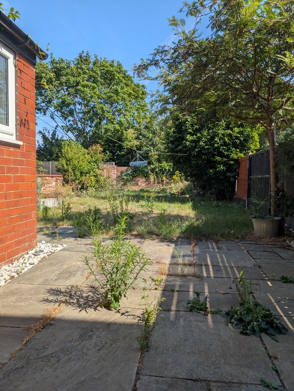 Overgrown garden with weeds growing through the patio