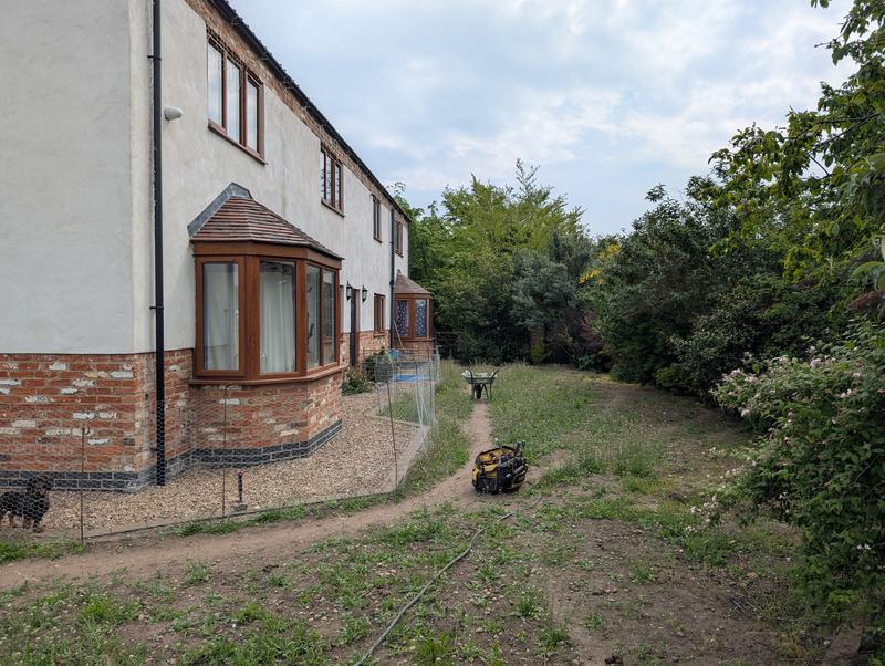 Overgrown garden beside a house with a worn dirt path and a wheelbarrow
