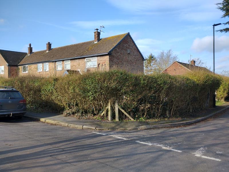 Overgrown boundary hedge at a street corner
