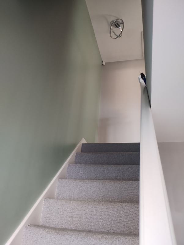 Sage green stairwell with white painted skirting and handrail above grey carpet